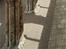 cathedrale jedburgh-11picto