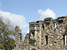 St Andrews castle-3picto