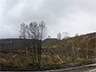 Loch Tarff-2picto