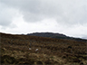 Suidhe viewpoint-4picto
