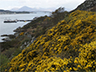 SKYE BRIDGE-2picto